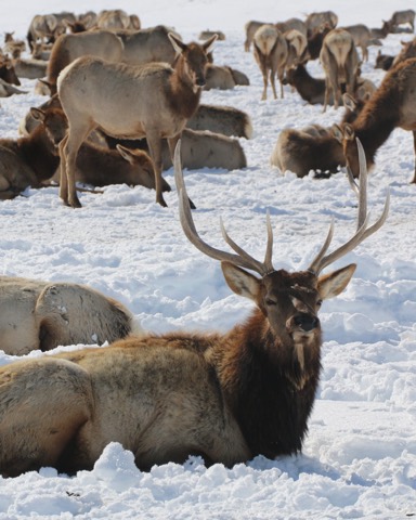 Behind every wildlife refuge is a story of science. This National Wildlife Refuge Week, we’re celebrating how USGS sc…