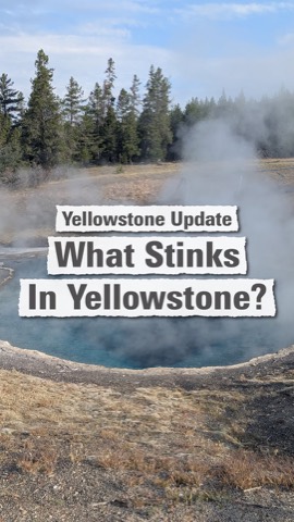 When you visit Yellowstone, it is common to detect something that smells like rotten eggs. The latest Yellowstone Vol…